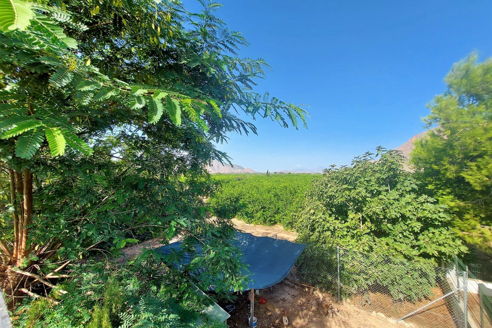 Reventa - Chalet Independiente - Orihuela