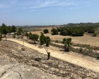 Reventa - Chalet Independiente - San Miguel de Salinas - San Miguel Salinas