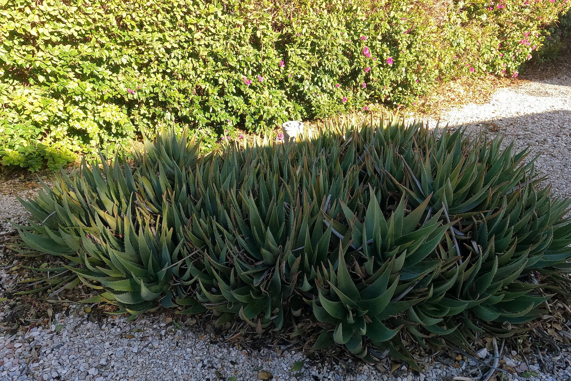 Reventa - Country House - Orihuela