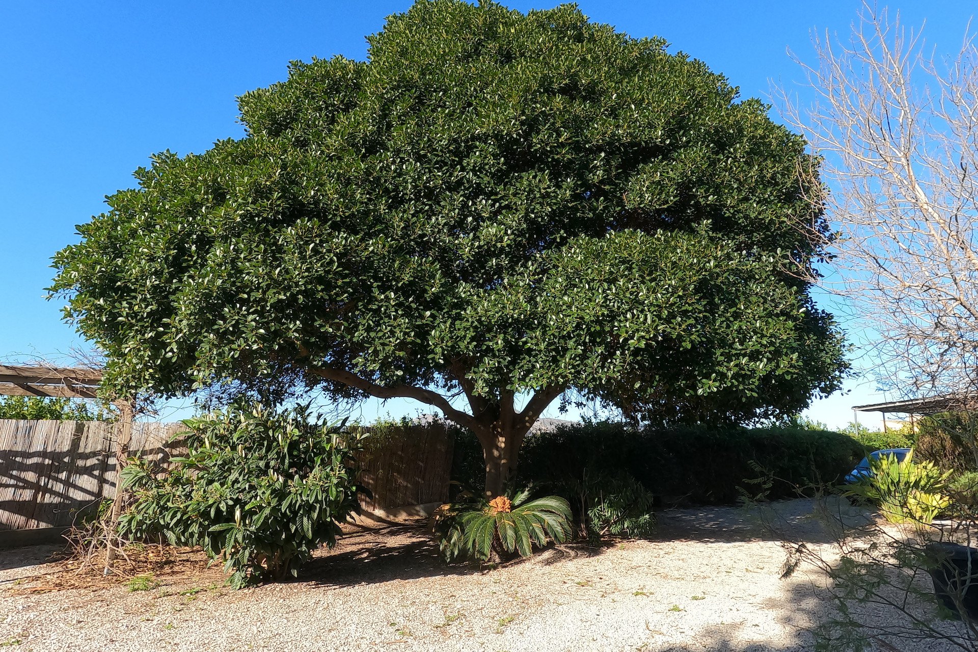 Reventa - Country House - Orihuela