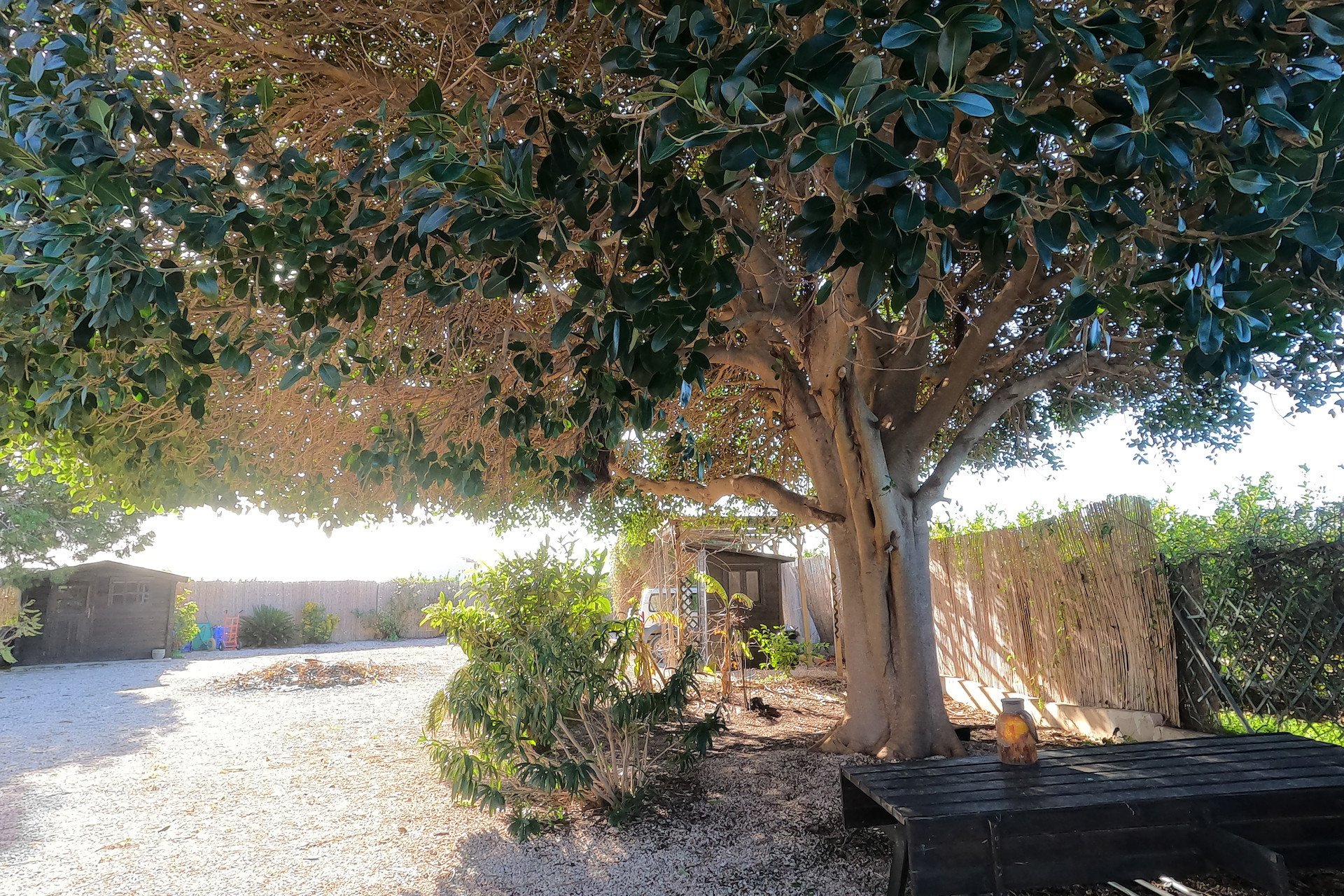 Reventa - Country House - Orihuela