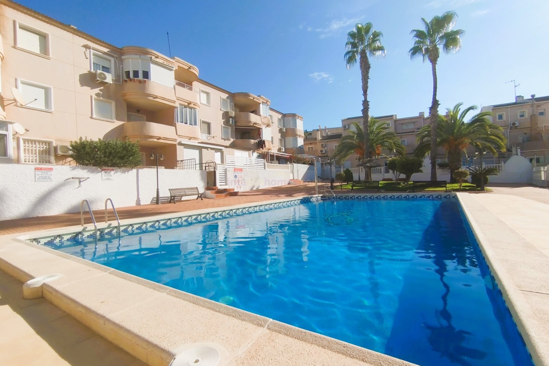 Reventa - Duplex - Pilar de la Horadada - Mil Palmeras