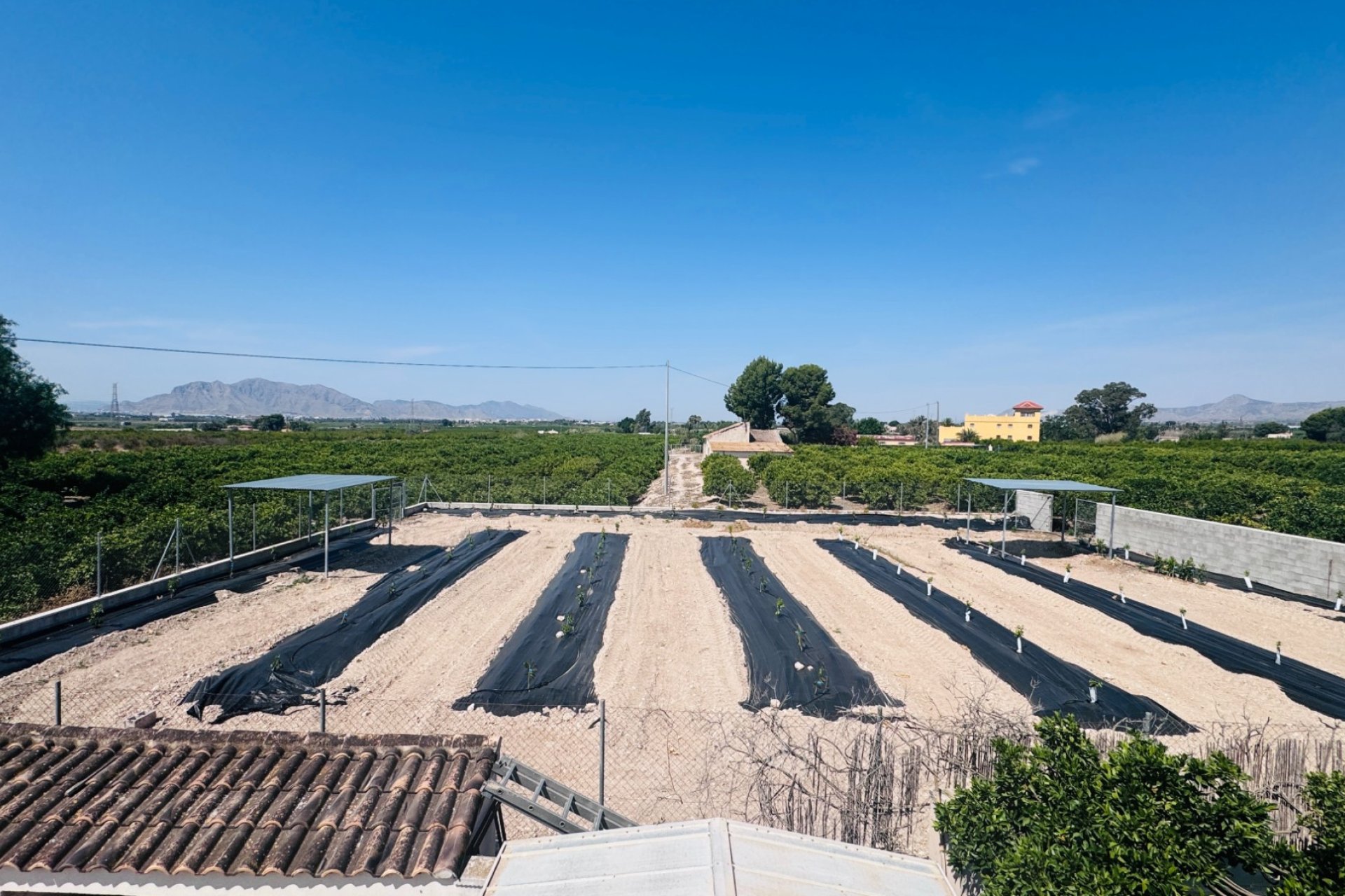 Reventa - Finca - Albatera