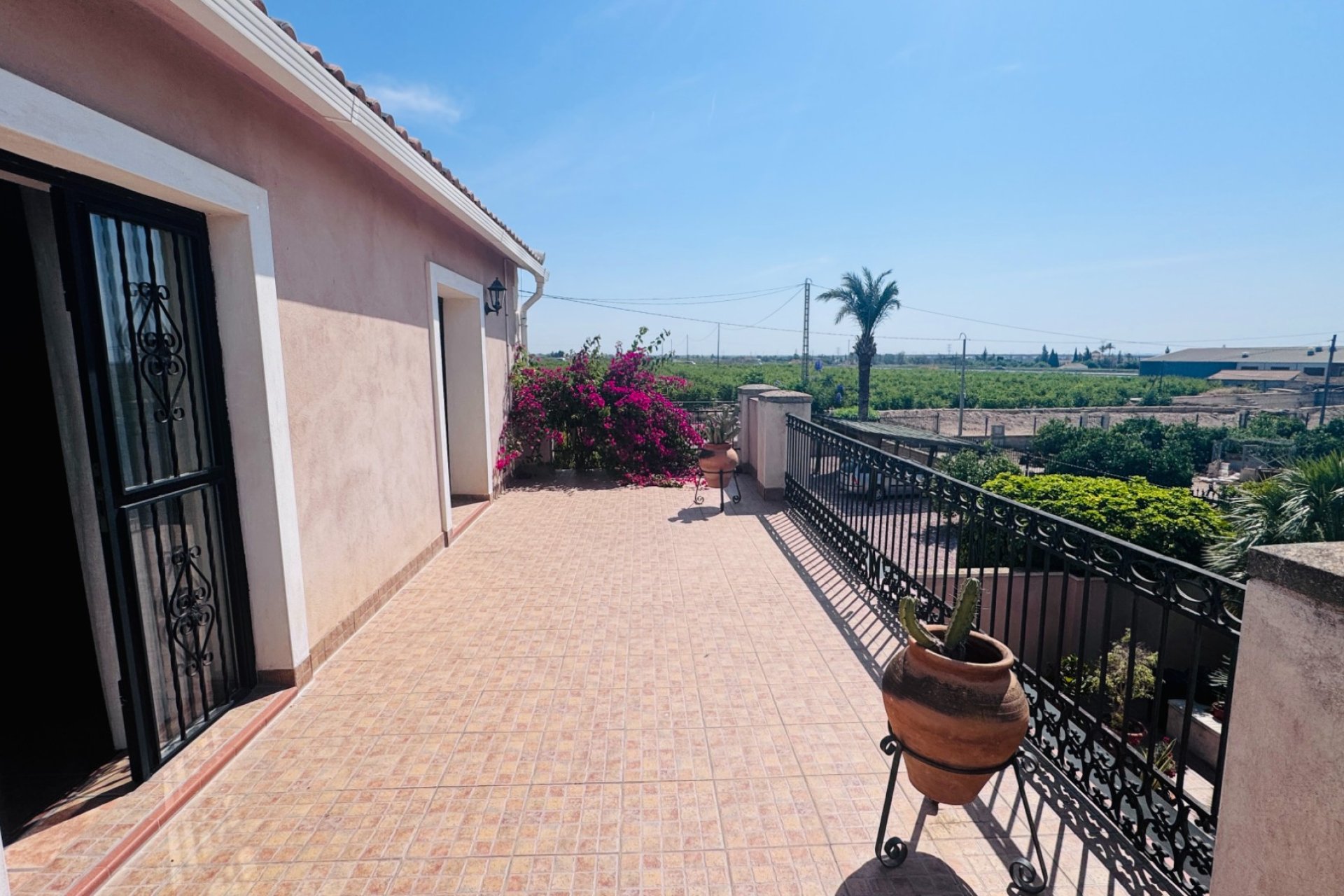 Reventa - Finca - Albatera