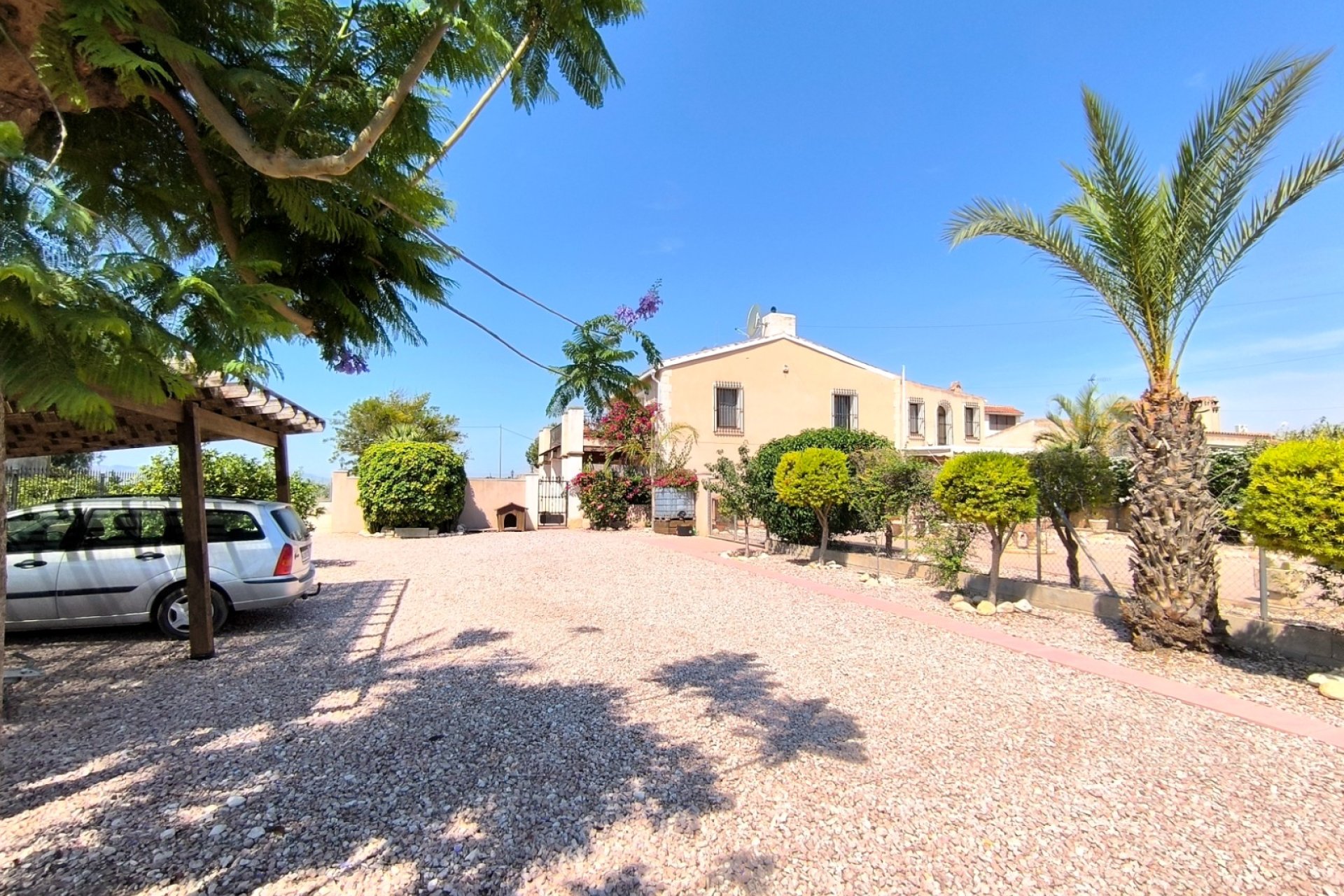 Reventa - Finca - Albatera