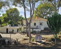 Reventa - Finca - Algorfa - Montemar