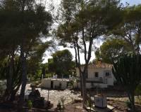Reventa - Finca - Algorfa - Montemar