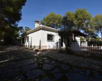 Reventa - Finca - Algorfa - Montemar