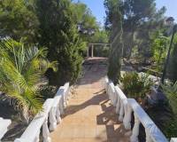 Reventa - Finca - Algorfa - Montemar