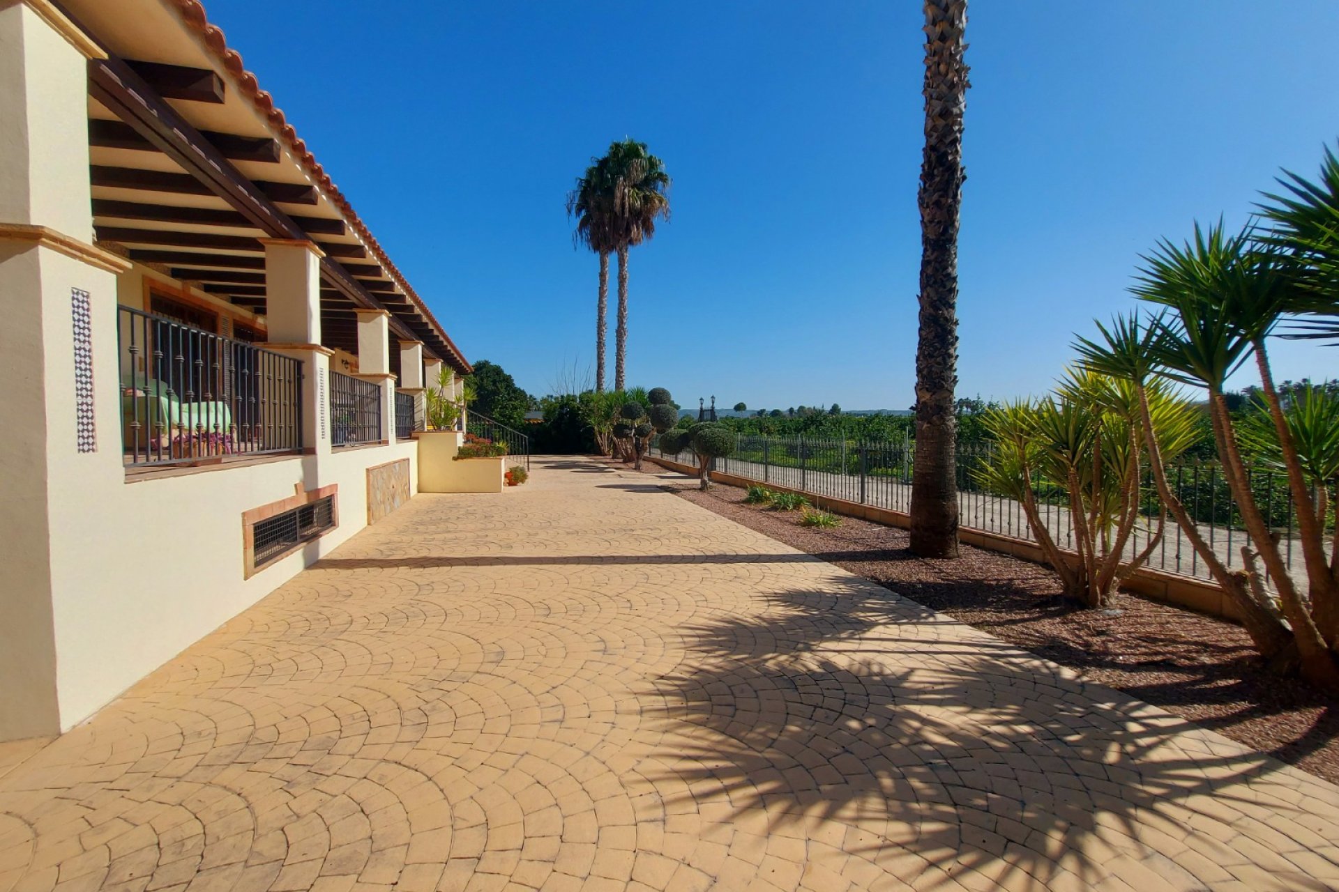 Reventa - Finca - Bigastro