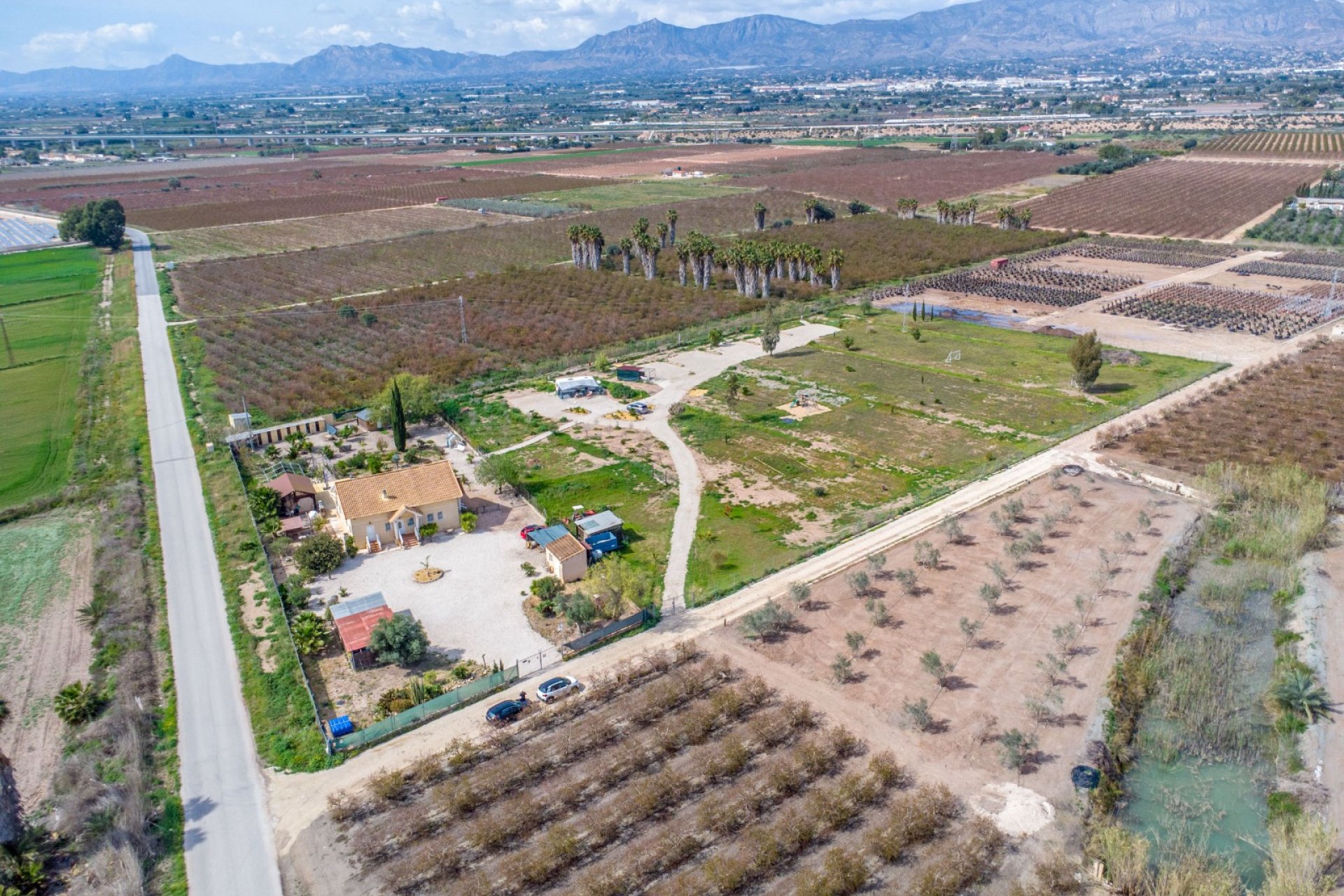 Reventa - Finca - Crevillente