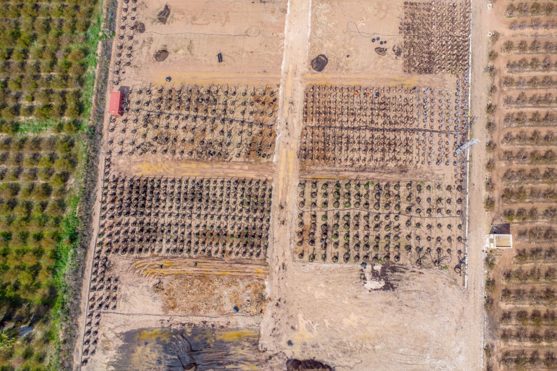 Reventa - Finca - Crevillente