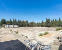 Reventa - Finca - Los Montesinos