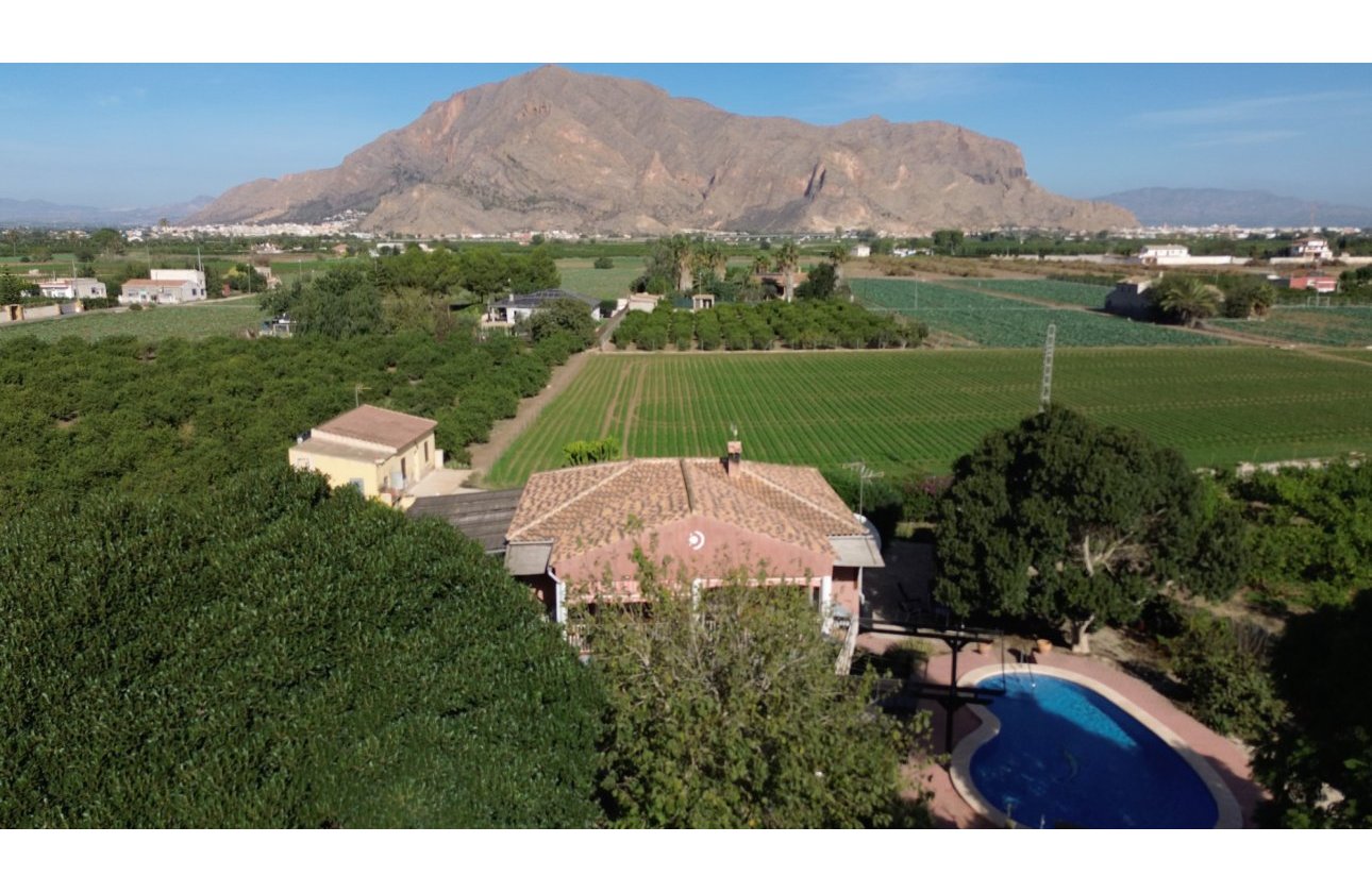 Reventa - Finca - Orihuela - San Bartolome