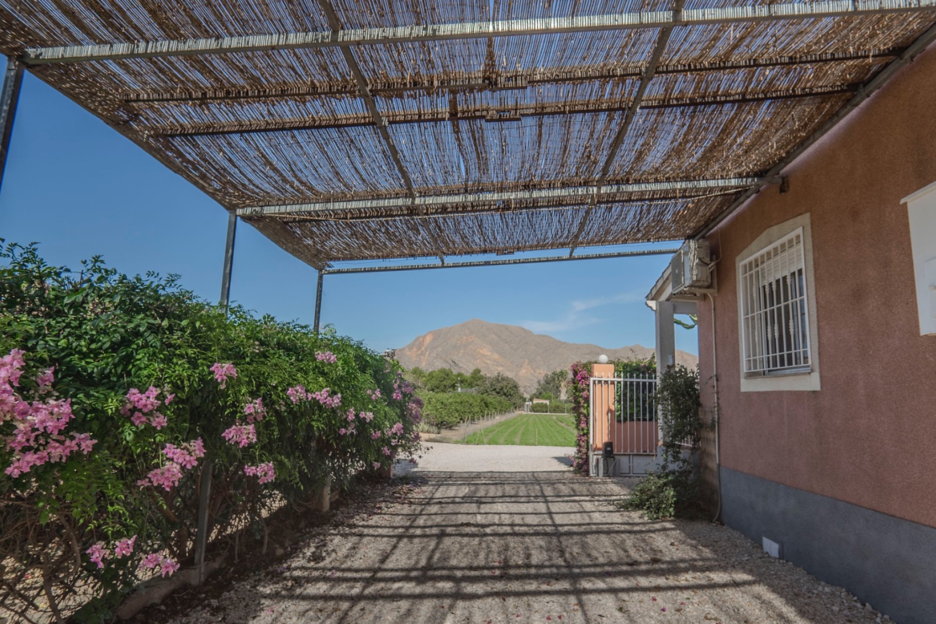 Reventa - Finca - Orihuela - San Bartolome
