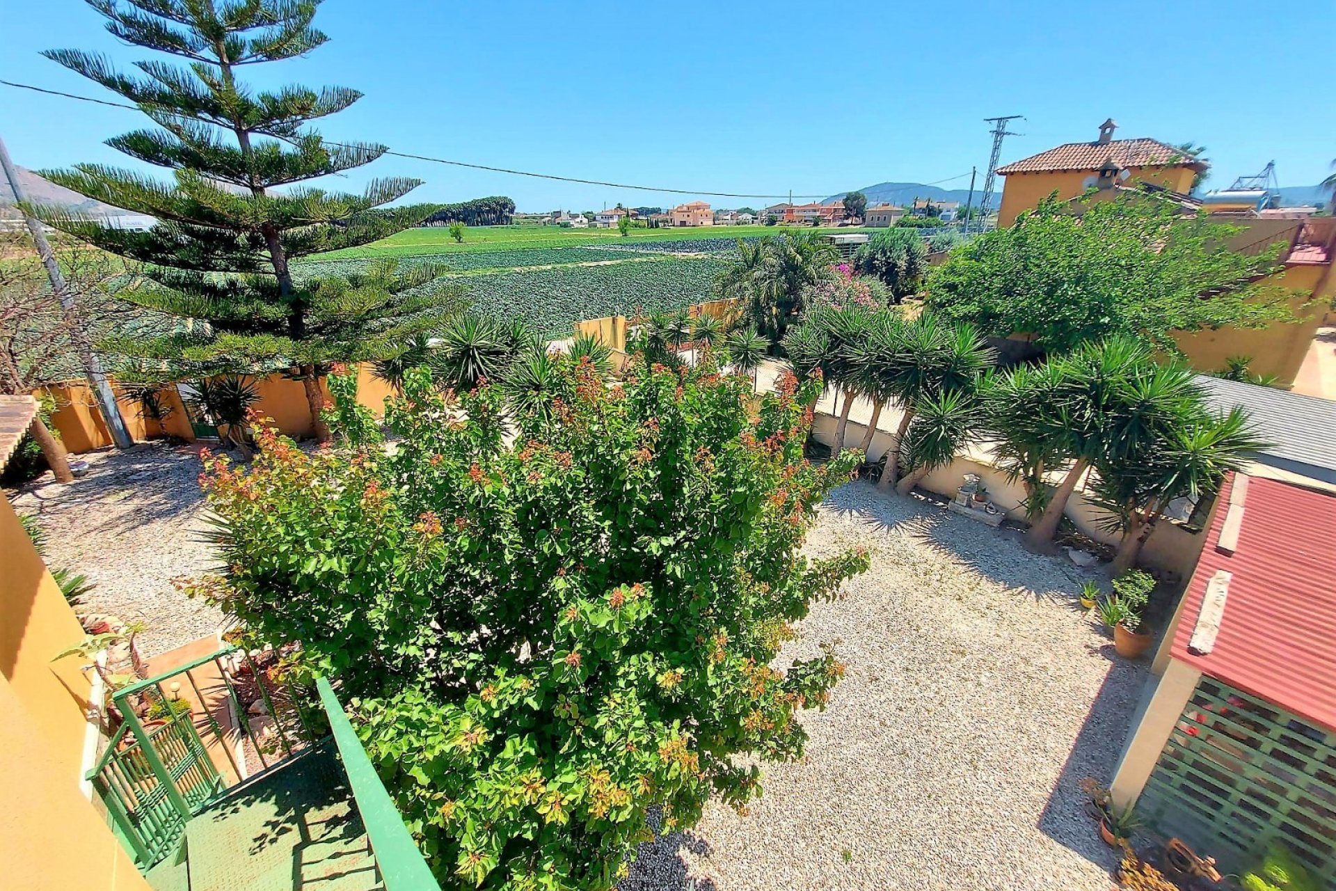 Reventa - Finca - Orihuela