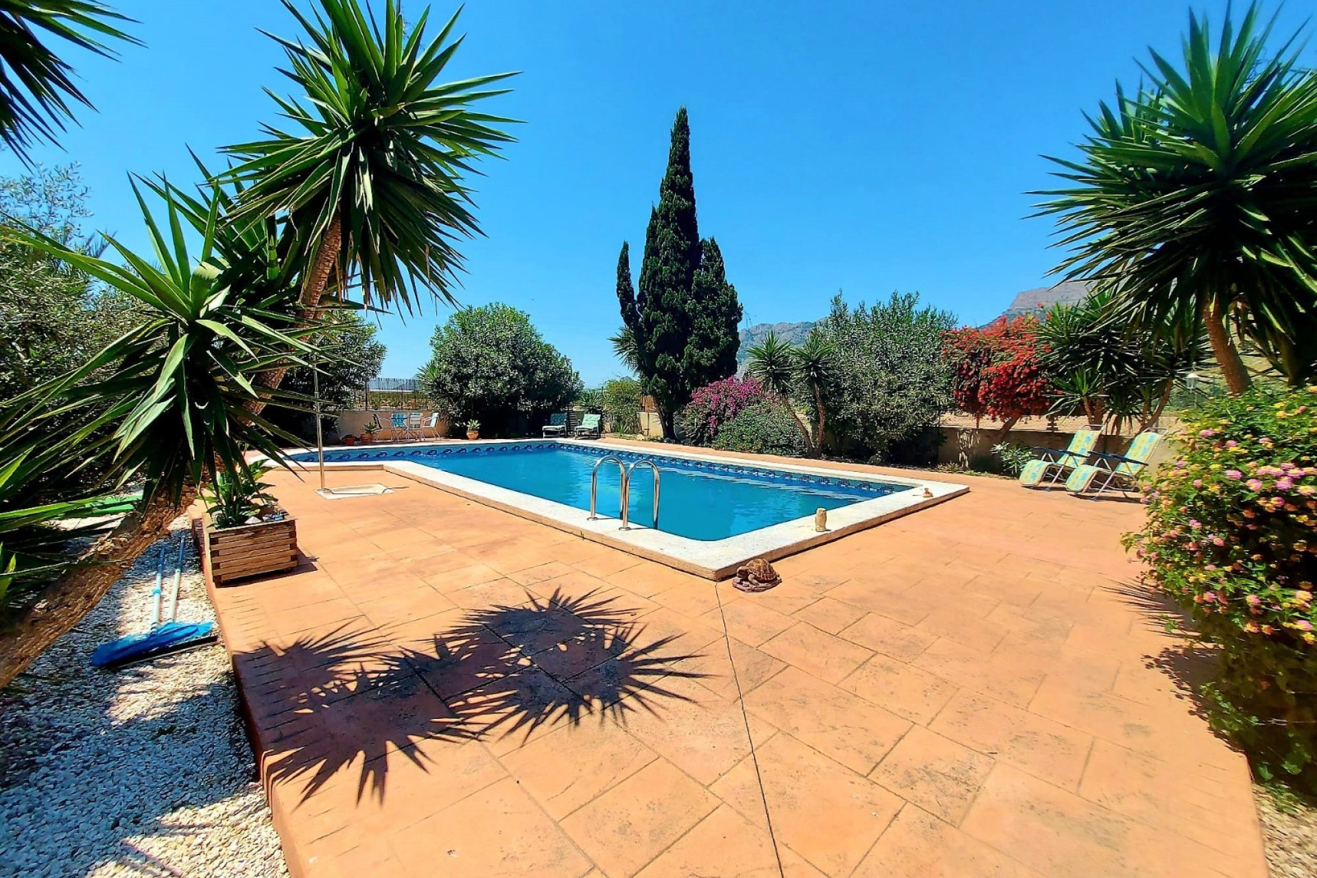 Reventa - Finca - Orihuela