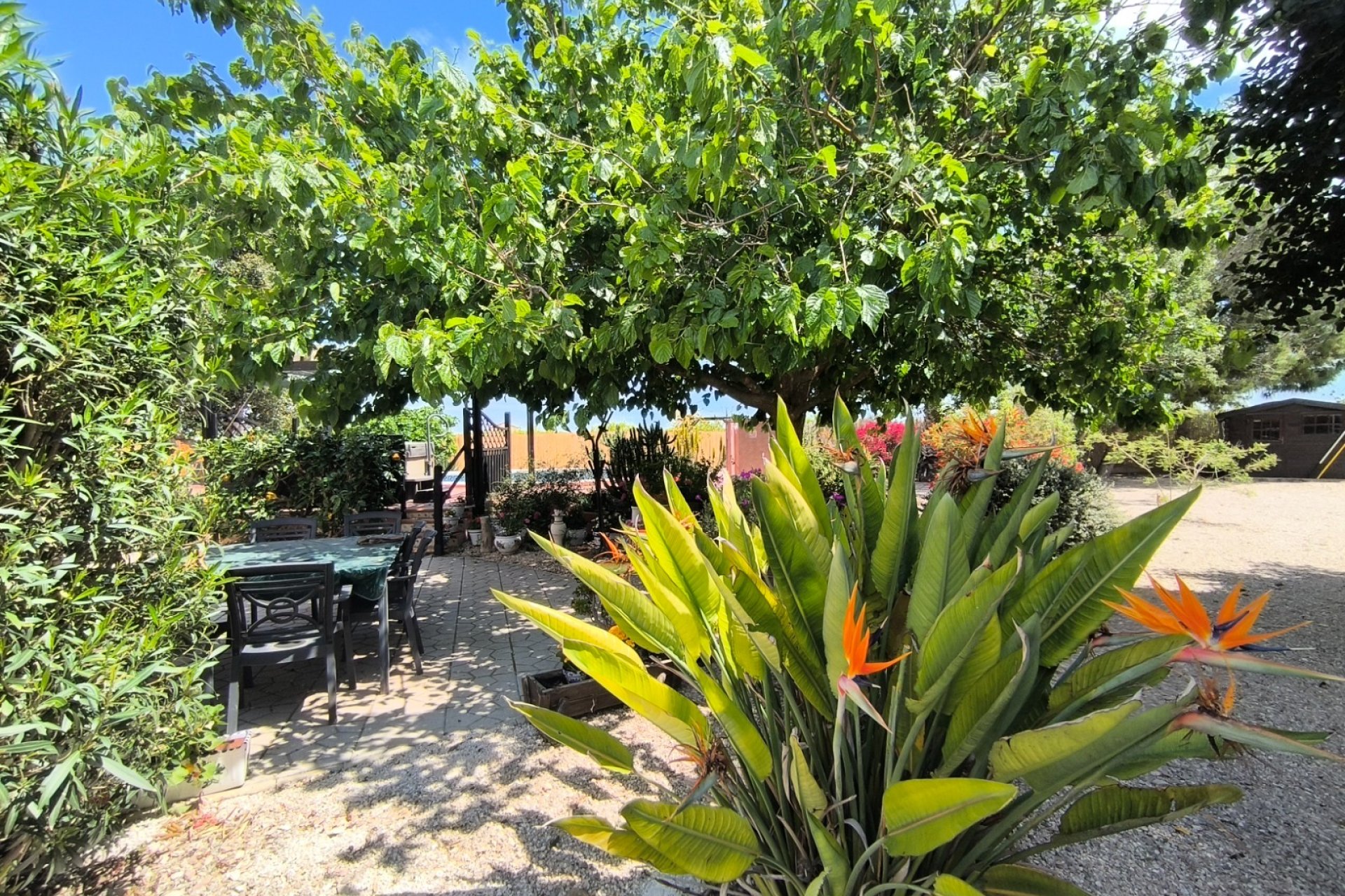 Reventa - Finca - Orihuela