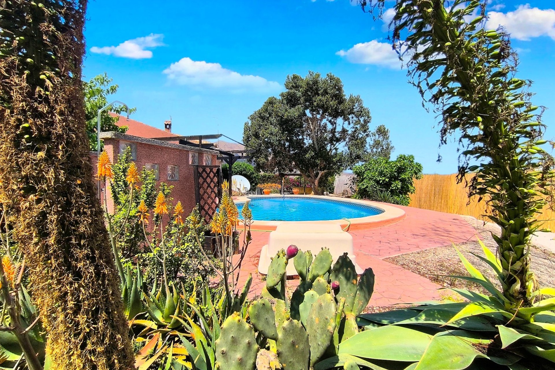 Reventa - Finca - Orihuela