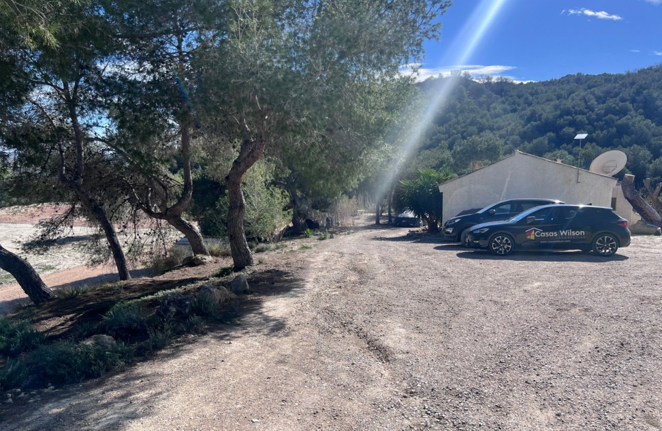 Reventa - Finca - Torremendo