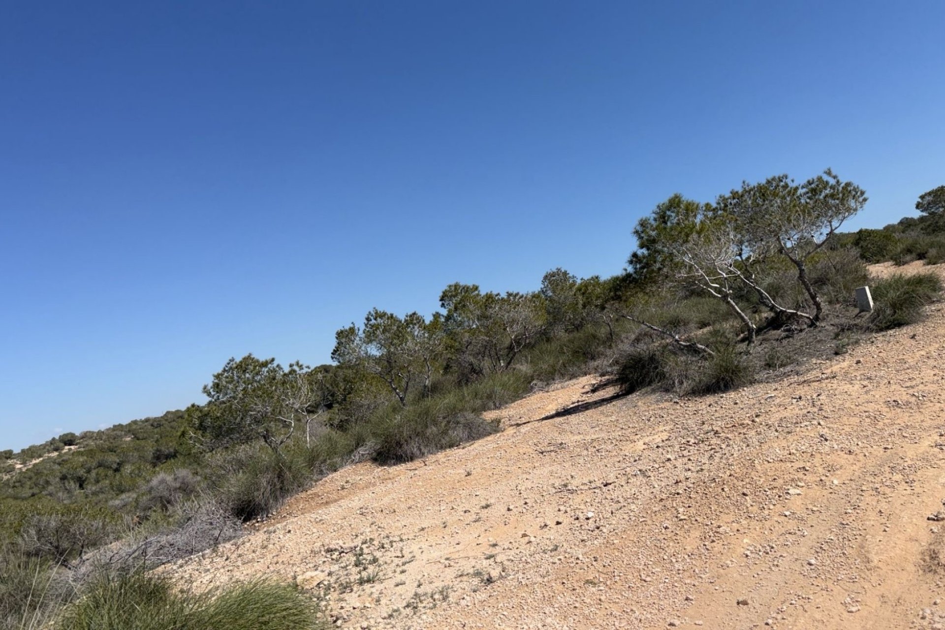 Reventa - Land and Plots - San Fulgencio - La Marina