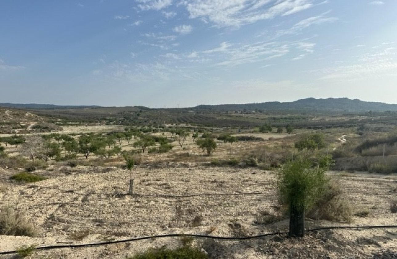 Reventa - Parcela/Terreno - Torremendo