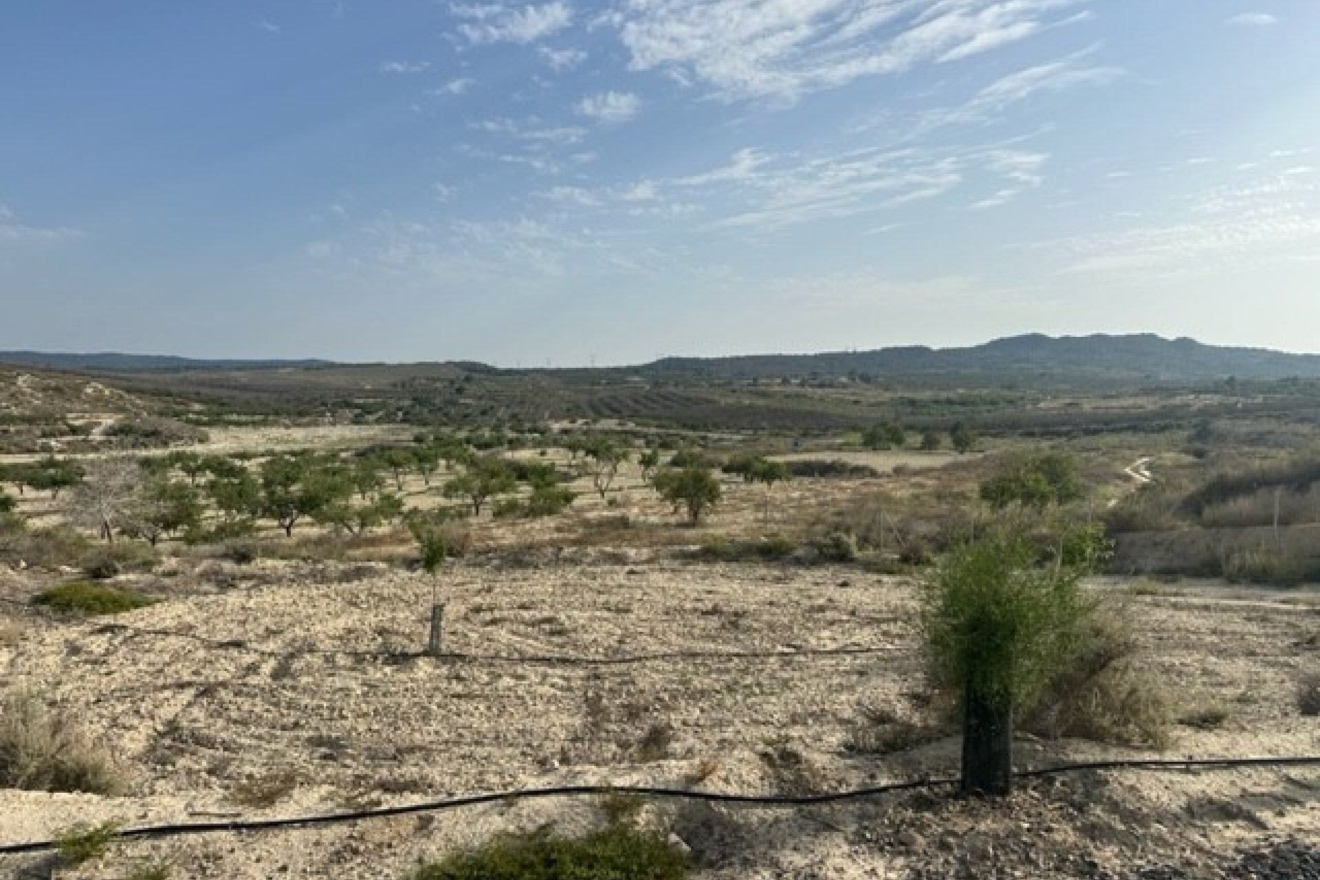 Reventa - Parcela/Terreno - Torremendo