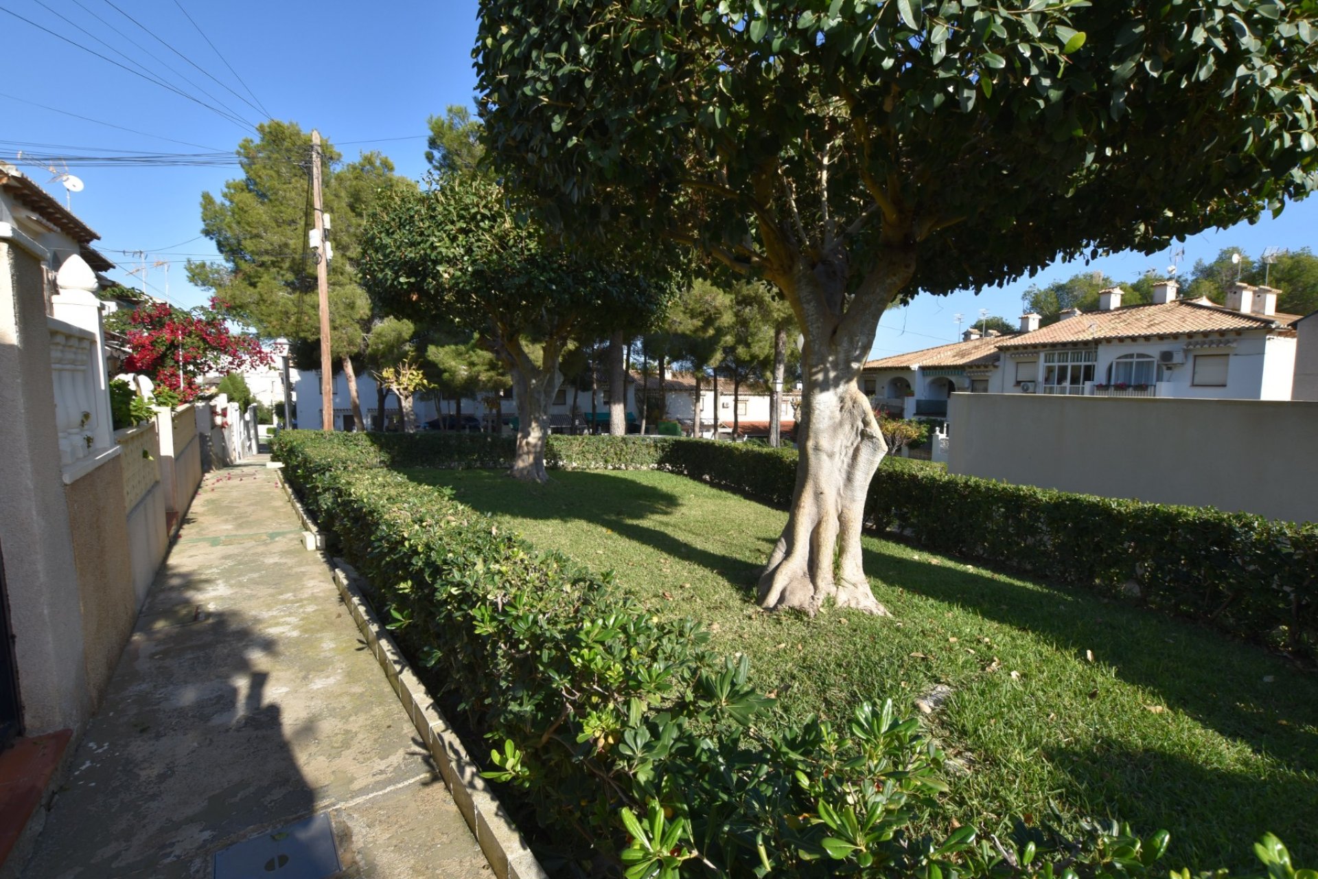 Reventa - Terraced house / Townhouse - Torrevieja - Lago Jardín II