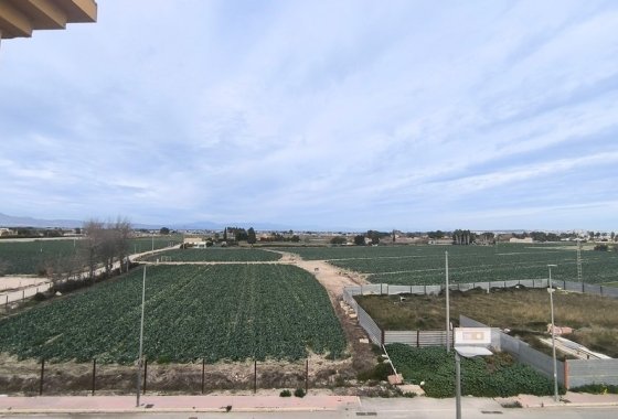 Re-Sale - Apartment - Daya Nueva