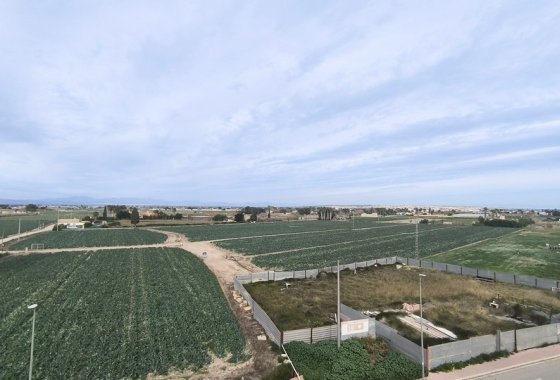 Re-Sale - Apartment - Daya Nueva