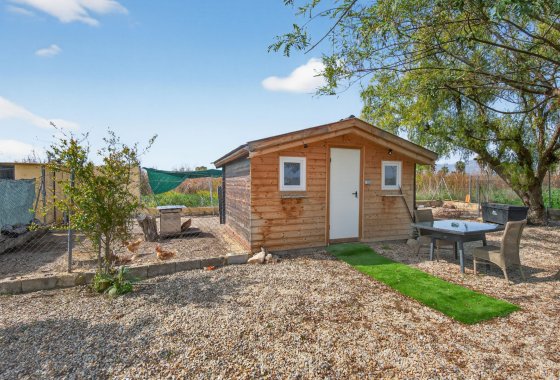 Reventa - Finca - Crevillente