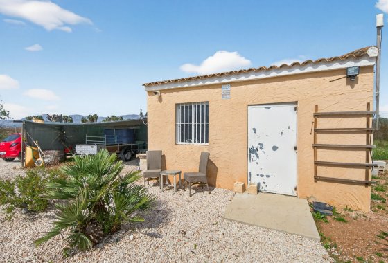 Reventa - Finca - Crevillente