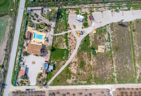 Reventa - Finca - Crevillente