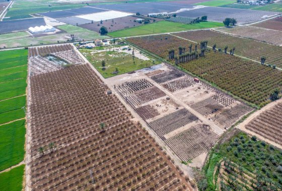 Reventa - Finca - Crevillente