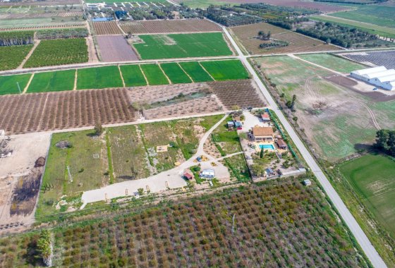 Reventa - Finca - Crevillente