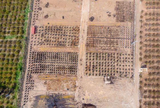 Reventa - Finca - Crevillente