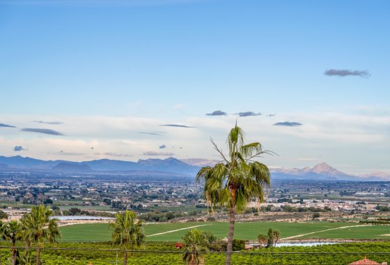 Reventa - Chalet Independiente - Algorfa - Lomas De La Juliana