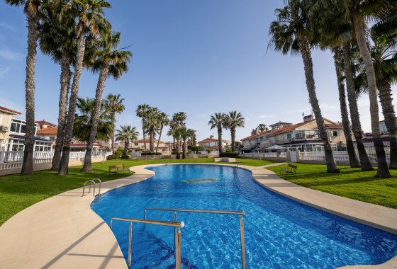 Reventa - Apartamento - Playa Flamenca - Zenia Mar
