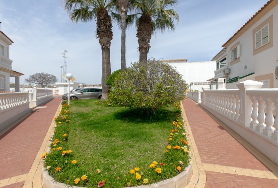 Re-Sale - Apartment - Playa Flamenca - Zenia Mar