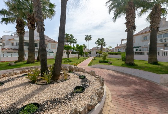 Re-Sale - Apartment - Playa Flamenca - Zenia Mar