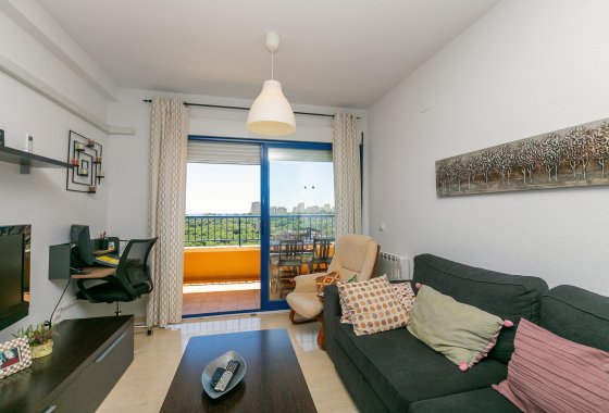 Reventa - Apartamento - Campoamor - Dehesa de Campoamor