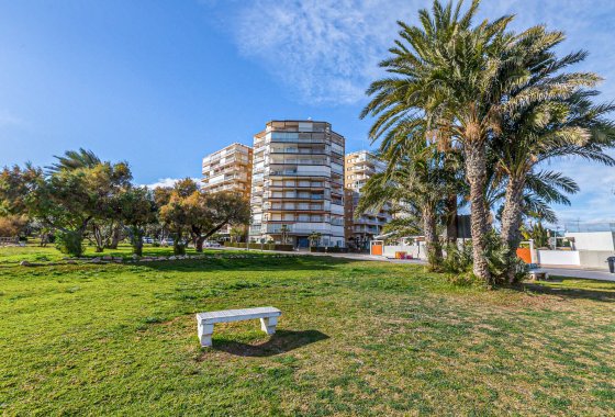 Reventa - Apartamento - Campoamor - Dehesa de Campoamor