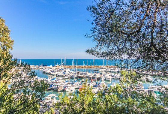 Reventa - Apartamento - Campoamor - Dehesa de Campoamor