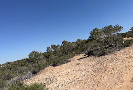 Reventa - Land and Plots - San Fulgencio - La Marina