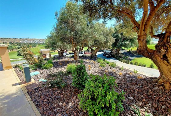 Reventa - Chalet Independiente - Algorfa