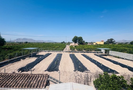 Re-Sale - Finca - Albatera