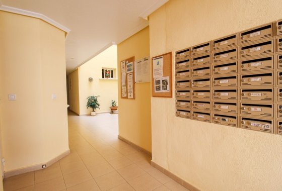 Re-Sale - Apartment - Algorfa