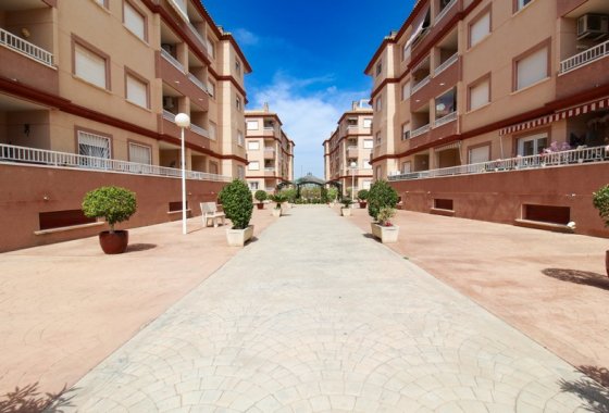 Re-Sale - Apartment - Algorfa