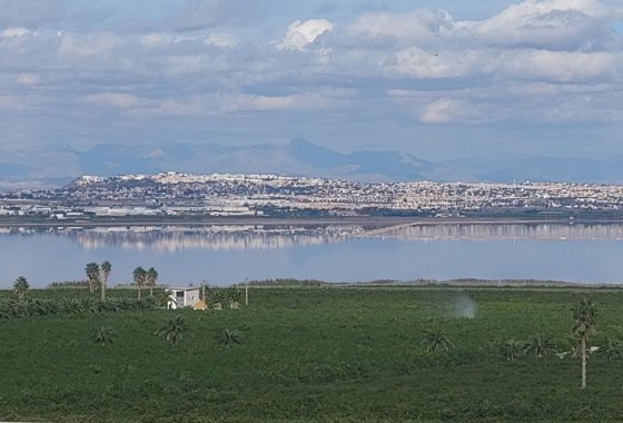 Re-Sale - Apartment - Torrevieja - Los Balcones