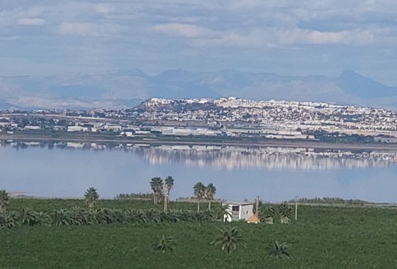 Re-Sale - Apartment - Torrevieja - Los Balcones